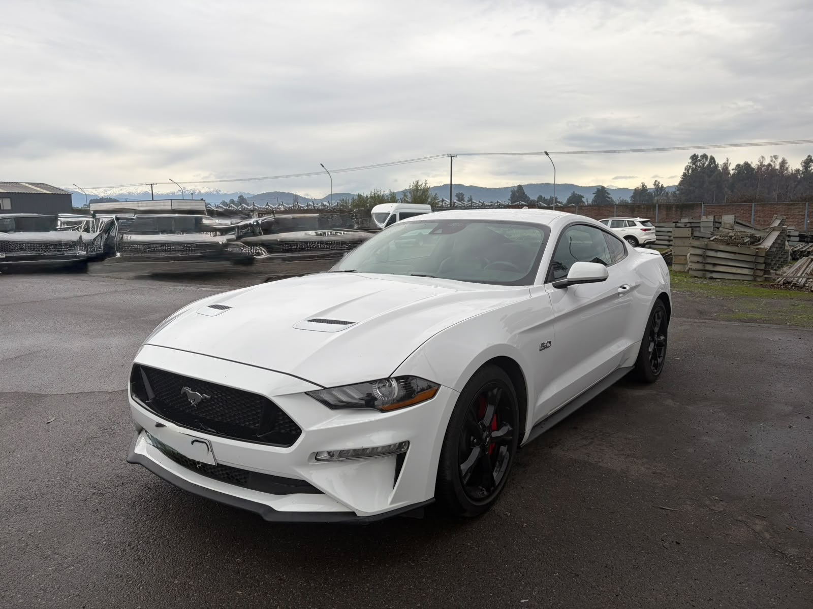 Fotografía de Ford MUSTANG 2023